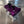 Purple Billet Valve Cover Pro XP / Turbo R - Dunes 2 Dezert SXS