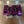 Purple Billet Valve Cover Pro XP / Turbo R - Dunes 2 Dezert SXS