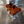Orange Billet Valve Cover Pro XP / Turbo R - Dunes 2 Dezert SXS