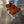 Orange Billet Valve Cover Pro XP / Turbo R - Dunes 2 Dezert SXS