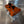Orange Billet Valve Cover Pro XP / Turbo R - Dunes 2 Dezert SXS