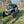 PRO XP- Sport Bumper - Dunes 2 Dezert SXS