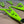 Turbo S- Forward A Arms with Adjustable Uppers - Dunes 2 Dezert SXS