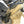Polaris Ranger 1500 XD A-Arm Guards | Trail Armor - Dunes 2 Dezert SXS