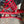 Honda Talon X High Clearance Lower A Arms - Dunes 2 Dezert SXS