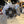 Madigan Motorsports Defender Big Brake Kit on a Can-Am Defender — angle view