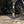 Polaris RZR Pro XP Steel HD Trailing Arms - Dunes 2 Dezert SXS