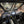 Madigan Motorsports RZR Pro R 4-Seat Roll Cage & Roof on a Polaris RZR Pro R — packaging