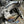 Can-Am Maverick R Trailing Arm Gusset Kit - Dunes 2 Dezert SXS