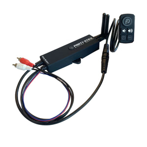 Party Stick – 12V Dash Install, Knockout Keypad | Bazooka - Dunes 2 Dezert SXS