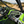 Kawasaki KRX H2 Interior Foam Kit