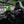 Kawasaki H2 Carbon Fiber Seat Belt Covers | RPM - Dunes 2 Dezert SXS