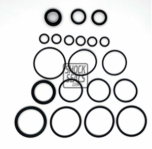 WALKER EVANS .875 SEAL KIT - Dunes 2 Dezert SXS