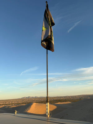 MURRAY FREEDOM DAY WHIPS - NO LEDS - Dunes 2 Dezert SXS