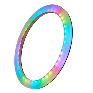 DS18 10" Marine Digital LED Speaker Ring - Dunes 2 Dezert SXS