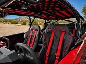 RZR Roof Kit