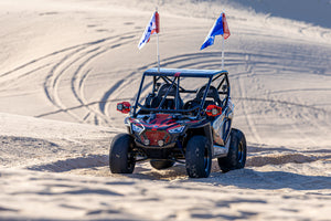 UTV Speed Polaris RZR 200 Standard Radius cage – photo 2