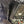 Bent Metal Off-Road Polaris RZR Pro XP Pro S 2025+ windshield showing clear glass and durable frame for off-road protection