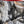 RPM Oil Fill Adapter Hose – Polaris Pro R - Dunes 2 Dezert SXS
