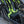 Rebel Front Bucket Seats Maverick X3 (2017–2025) - Dunes 2 Dezert SXS