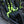 Maverick R Rebel Front Bucket Seats (2024–2025) - Dunes 2 Dezert SXS