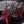 RZR 1000 Bench Seat w/ Harnesses (2024+) - Dunes 2 Dezert SXS