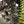 RPM 3