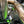 RPM Kawasaki H2 3/4 Exhaust System 2.5