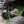 Kawasaki Teryx H2 Full Exhaust System 2.5