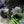 Kawasaki Teryx H2 Full Exhaust System 2.5