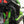 Kawasaki H2 Carbon Fiber Air Intake Cover | RPM - Dunes 2 Dezert SXS
