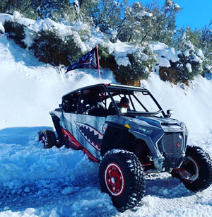 UTV Speed Polaris RZR XP 4 1000 / XP 4 Turbo / Turbo S 4 Fastback cage – photo 17