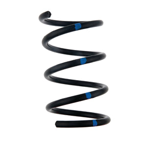 Spring (Black/Blue) - RZR Secondary Spring - Dunes 2 Dezert SXS