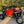 HCR Polaris RZR RS1 Dual Sport suspension kit