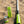 Game Changer LED Whip - Savage Sage Green Single - Dunes 2 Dezert SXS
