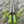 Game Changer LED Whip Set - Savage Sage Green - Dunes 2 Dezert SXS