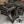 Madigan Motorsports RZR XP 1000 Bulkhead on a Polaris RZR XP 1000