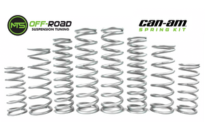 MTS Off-Road Maverick R dual rate spring kit with automotive springs for off-road vehicle suspension.