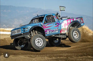 The MURRAY FREEDOM WHIP - Dunes 2 Dezert SXS