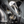 Treal Performance | 2017-2025 Can-Am Maverick X3 Quiet Trail Exhaust System - Dunes 2 Dezert SXS