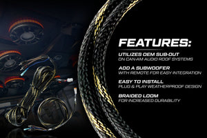 20' RCA Harness | UTVS-HRN-RCA-20 - Dunes 2 Dezert SXS