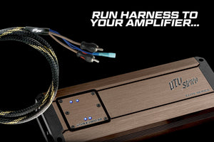 20' RCA Harness | UTVS-HRN-RCA-20 - Dunes 2 Dezert SXS