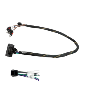 RZR® Pro Series Ride Command Front & Rear RCA Output + Speaker Wire & Remote | UTVS-PRO-RC-RCA-OUT - Dunes 2 Dezert SXS