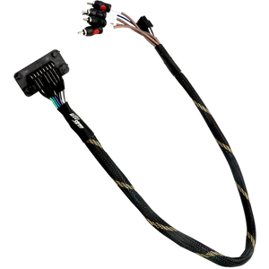 RZR® Pro Series Ride Command Front & Rear RCA Output + Speaker Wire & Remote | UTVS-PRO-RC-RCA-OUT - Dunes 2 Dezert SXS