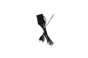 RZR® Ride Command Amplifier Harness + Remote | UTVS-RZR-RC-RCA-REM - Dunes 2 Dezert SXS