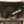 Treal Performance | 2017-2025 Can-Am X3 3 Inch 