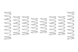 Eibach Pro-UTV 2022 Polaris RZR PRO R 4 Sport Stage 2 Performance Springs