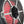 DS18 NXL-M Series Speaker w/ RGB LED Lights 8in 2-Way 125 Watts RMS 4 ohm Black Crbn Fiber w/ Cover
