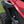 Fender Flares