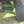 Trail Armor Kawasaki Teryx iMpact A-Arm Guards - Dunes 2 Dezert SXS